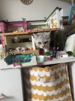 IMG_1845.jpeg