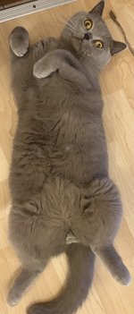 IMG_1205.jpeg