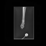 Small Skeletal _ 10 kg-Paw DP-10.06.2025-18_36_39-262.JPEG