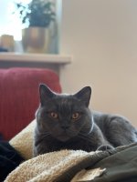 IMG_5057.jpg
