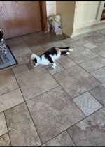 IMG_0733.jpeg