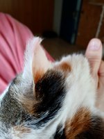 20250607_141459.jpg