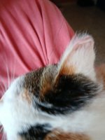 20250607_141503.jpg