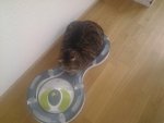 20130225_131849.jpg