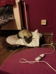 IMG-20130318-WA0006.jpg