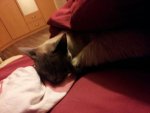 IMG-20130318-WA0010.jpg