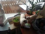 rps20130319_090611.jpg