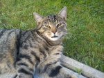 IMG_20120526_175913.jpg