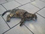 IMG_20120526_180341.jpg