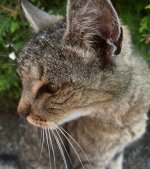 IMG_7627.jpeg