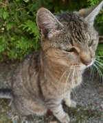 IMG_7626.jpeg