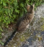 IMG_7625.jpeg