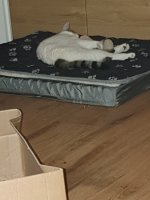 20250613_235529.jpg