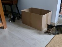 IMG_3102.jpeg
