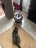 IMG_3099.jpeg