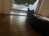 IMG_2843.jpeg
