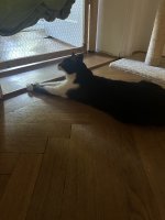 IMG_2844.jpeg