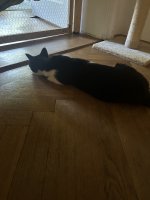 IMG_2845.jpeg