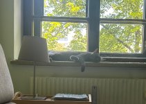 IMG_2855.jpeg
