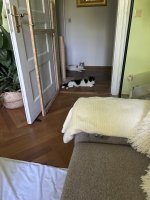 IMG_2856.jpeg