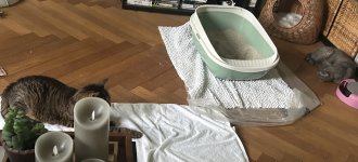 IMG_2872.jpeg