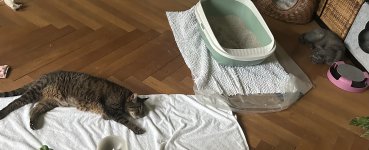IMG_2874.jpeg