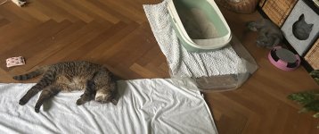 IMG_2875.jpeg