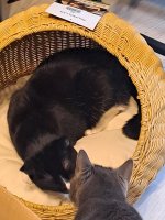 20250702_054603.jpg
