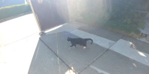 20250702_082132.jpg