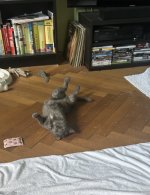 IMG_2912.jpeg