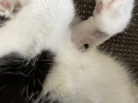 IMG_3918.jpeg