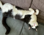 IMG_3920.jpeg