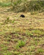 IMG_7663.jpeg
