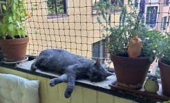 IMG_2925.jpeg
