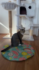 IMG_4998.jpeg