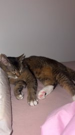 IMG_4989.jpeg