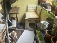 IMG_2945.jpeg