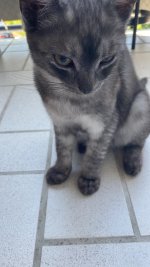 77C151C9-35AB-4179-A1BD-CF4BF5E32D51.jpeg