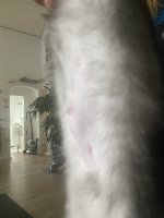 IMG_8428.jpeg