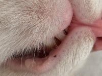 IMG_6828.jpeg