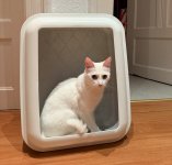 IMG_1716.jpeg