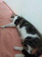 IMG_20250703_132124.jpg
