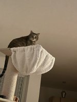 IMG_9310.jpeg
