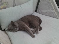 KATZEN JULI 2025 (1).jpg