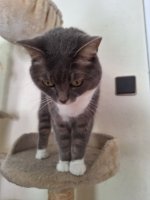KATZEN JULI 2025 (3).jpg