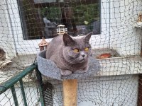 KATZEN JULI 2025 (10).jpg