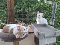 KATZEN JULI 2025 (12).jpg