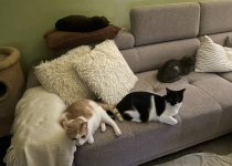 IMG_2999.jpeg
