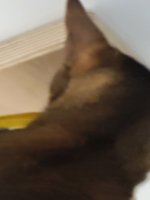 20250710_222659.jpg