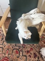 IMG_7136.jpeg